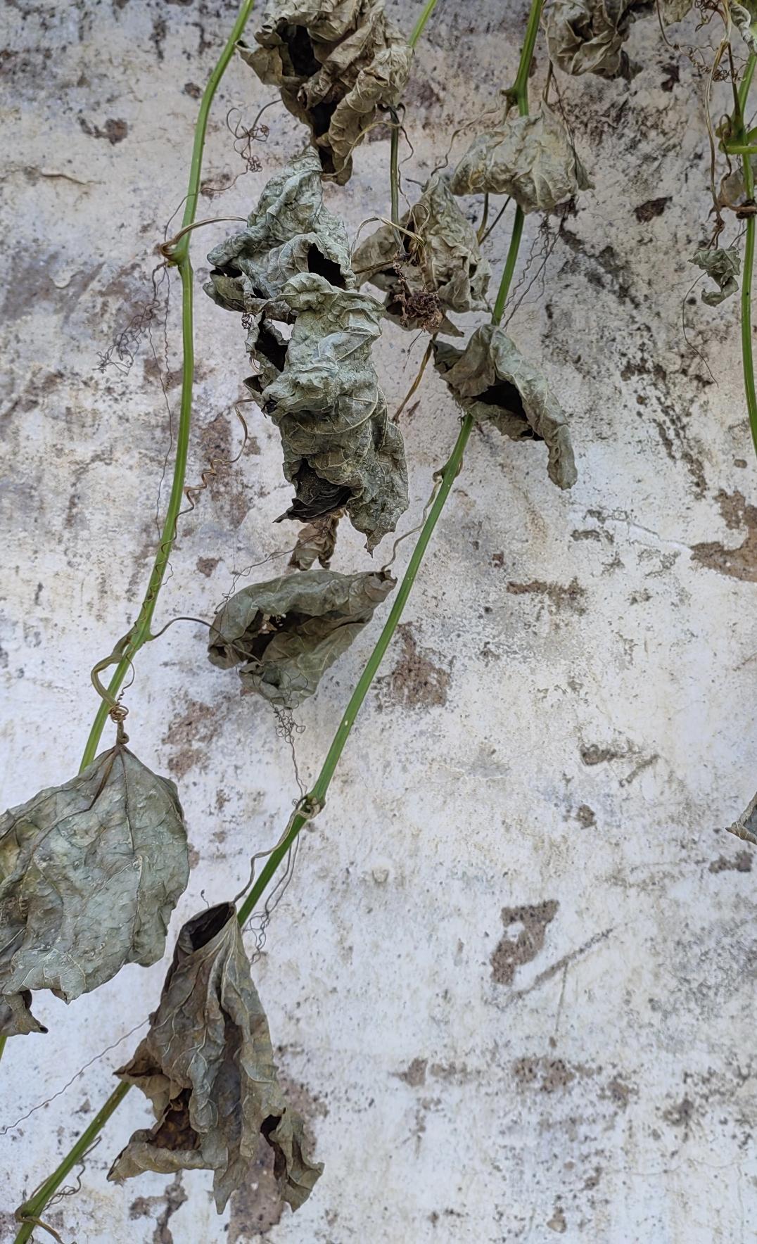 烂人如同坏了的鸡蛋，虽然不堪一击，但臭味沾染却很恶心，能远离烂人、甩掉烂人、躲避