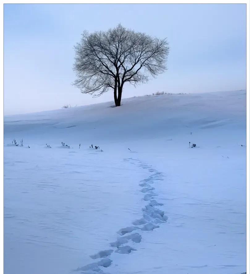 最近一段时间心里很烦，但也只能控住，因为我是一个人独居，找不到发泄情绪的对象。