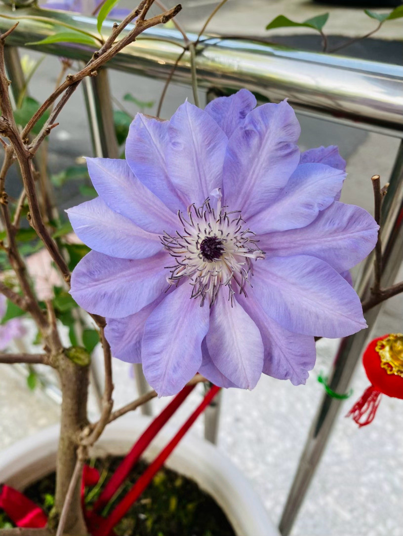 生活手记记录真实生活摄影摄影摄影初见「倒影」，便被它那一抹空灵的色彩击中。外层