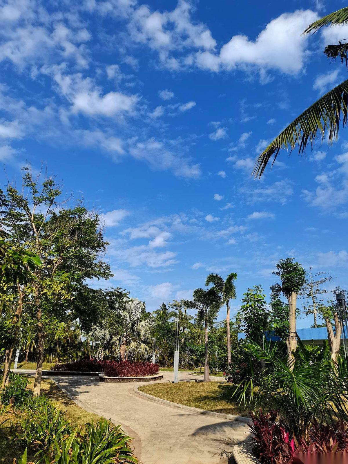 在急诊室的硬板凳上睡了整整五天。五天啊！我差点以为我才是那个病人。旁边一个大