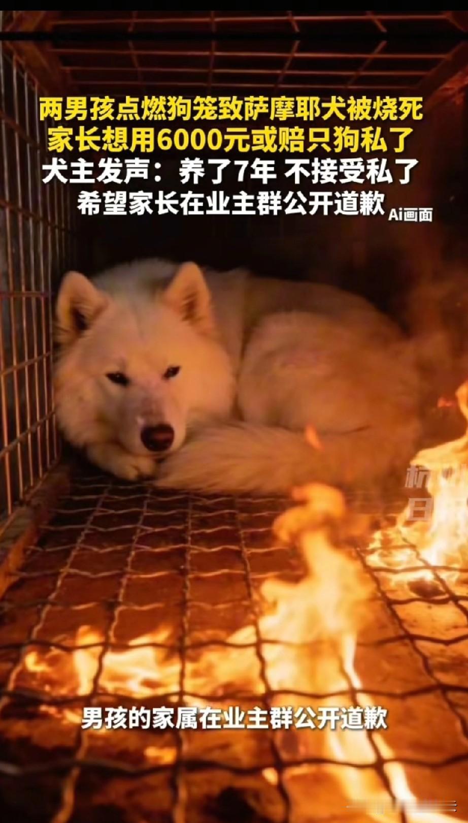 两个小孩玩火，狗被烧死的后续来了。狗主人说这是只萨摩耶犬，她们已经养了7年了，平