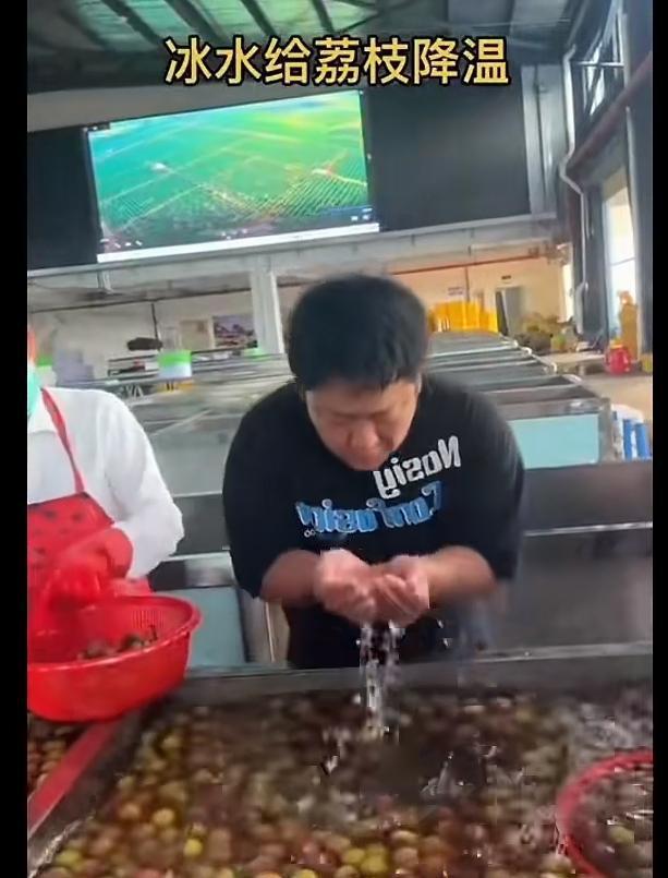 杨梅出事，波及荔枝，荔枝果农喝水证明自己的水是降温用，不是药水