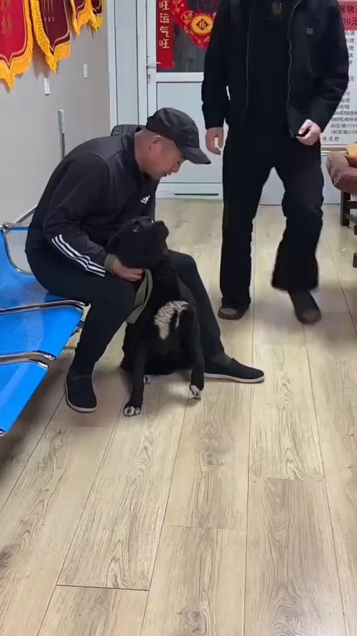 带着它，坏了。没事，爪子就没事，不听话。这不是连人都有，小孩、大人都是。还有狗，