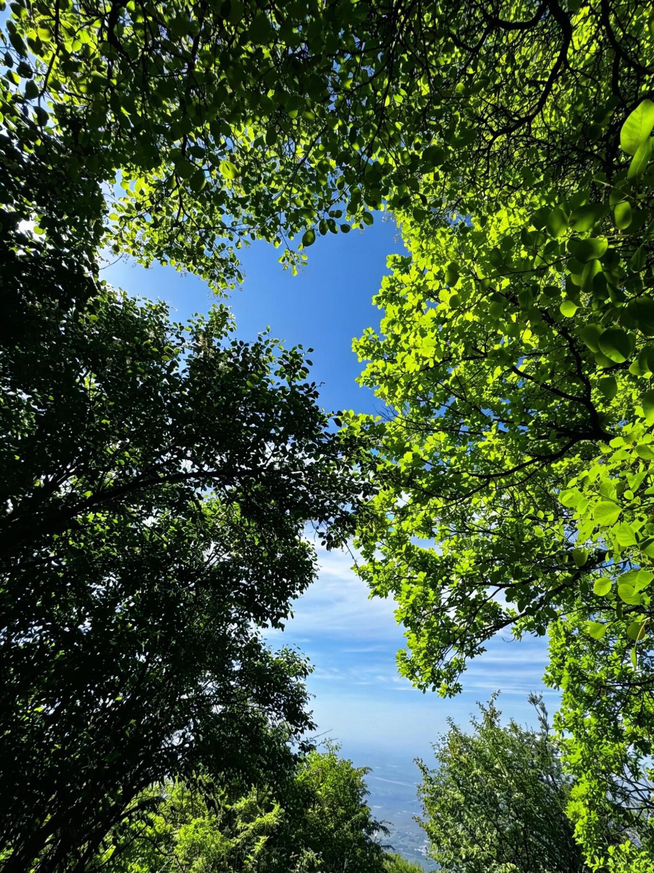五月，去少华山赴一场山水与历史的约会五月的关中，天气渐热，便想着往山里走走。