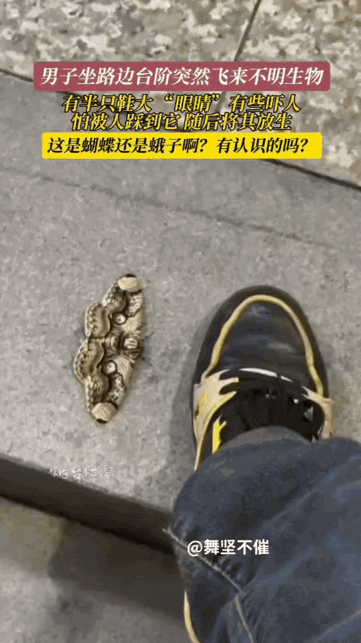“越想越后悔！”福建，男子去户外活动，随便在路边台阶上坐下歇会儿。结果还没喘两口