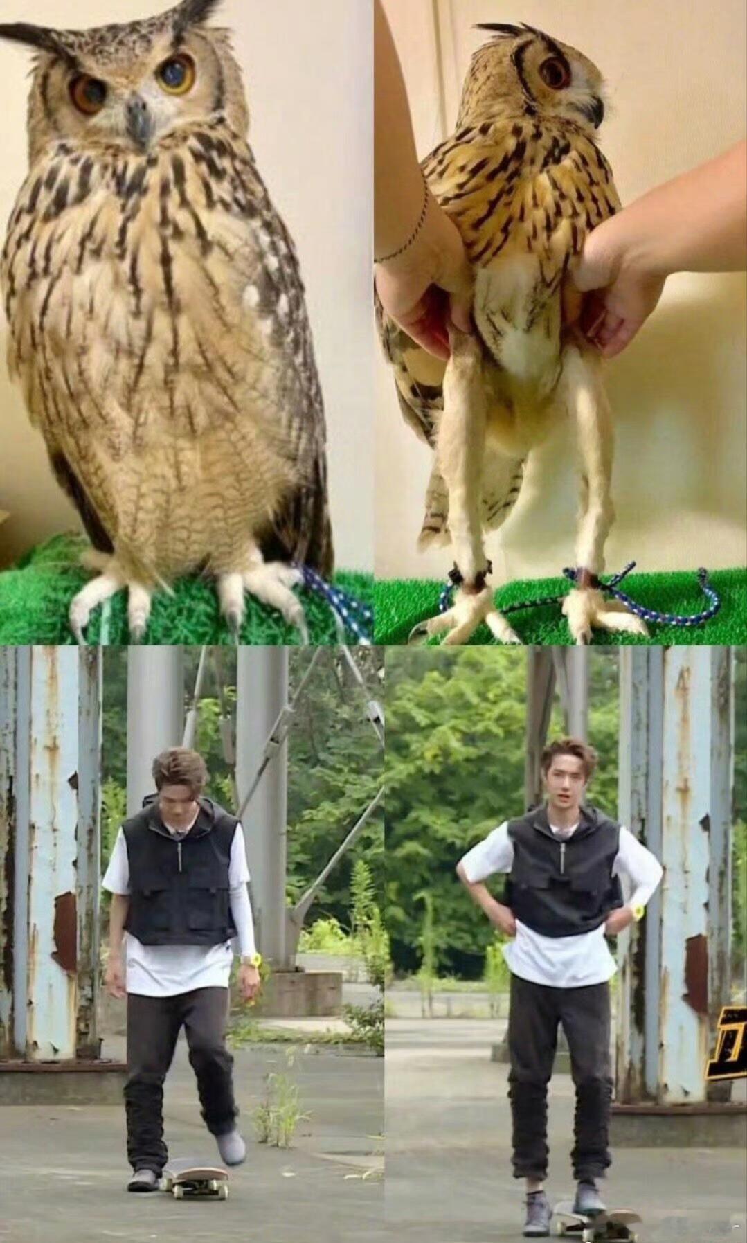 听说这是早期给王一博反黑做的图为了证明王一博腿真的长…​​​