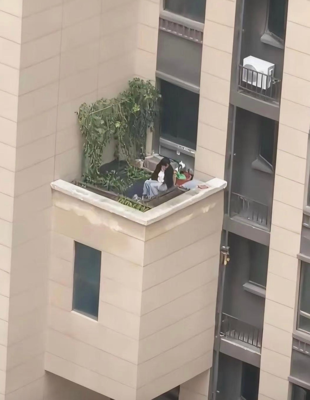 胆子真大，这属于违建吗