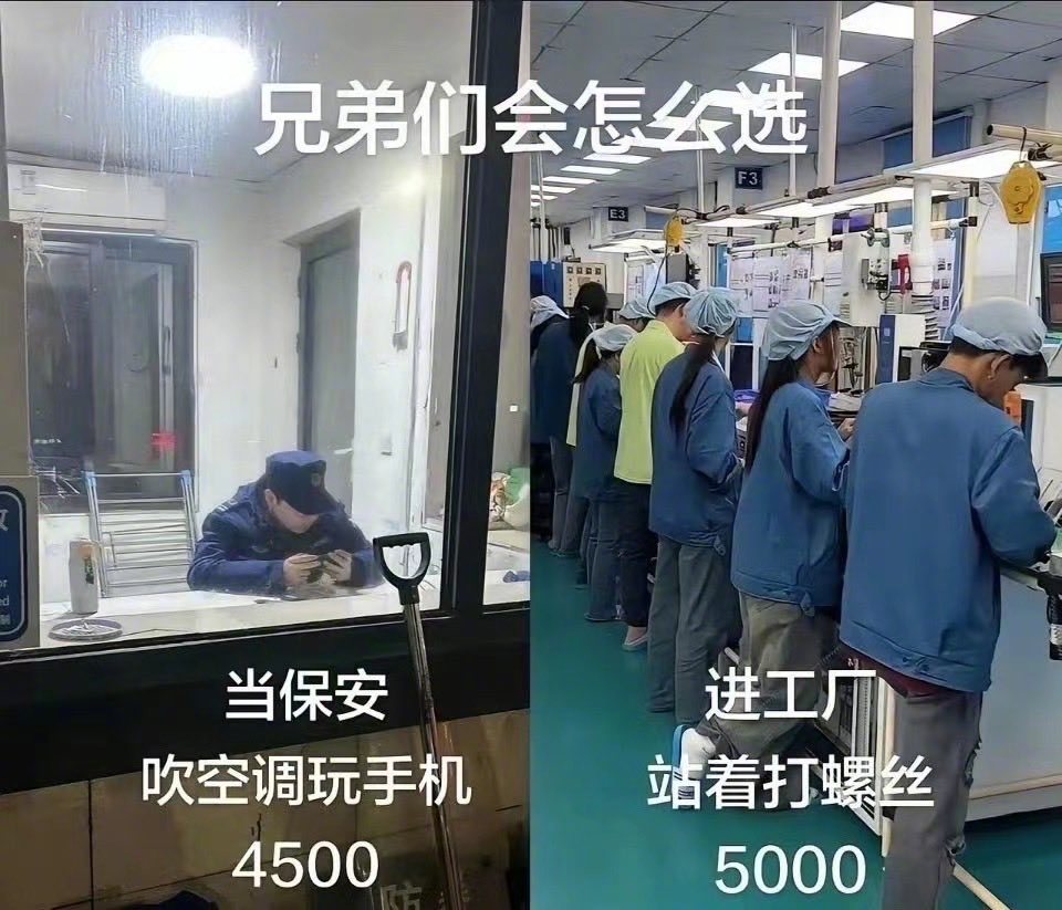 兄弟们会怎么选？