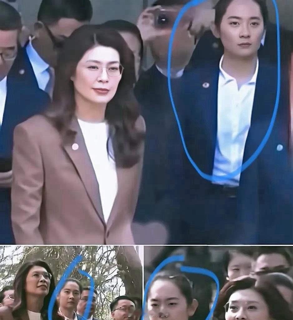 郑丽文一回台湾，就在节目里猛夸大陆的安保。她说，这次在大陆，有个年轻姑娘贴身护卫