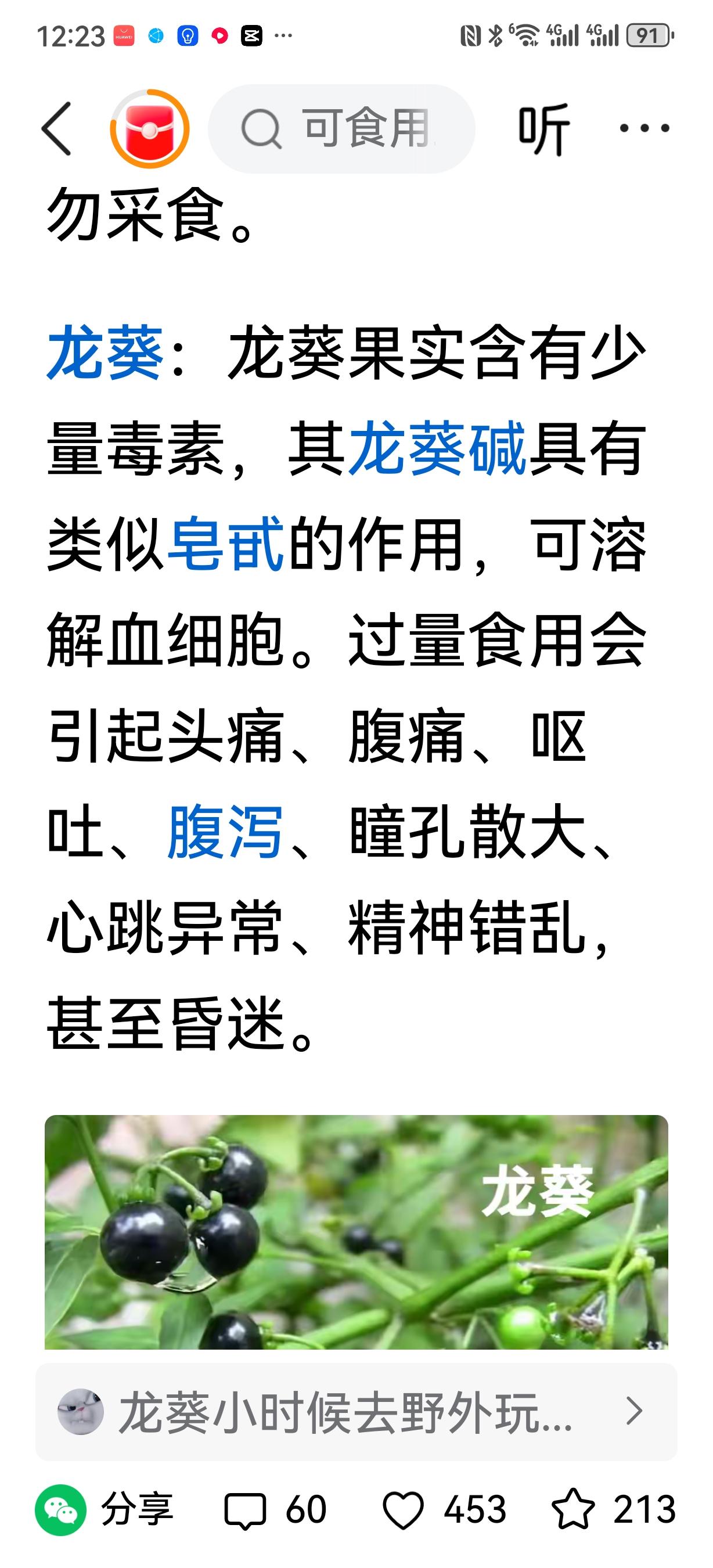 龙葵在我们河间叫野茄，我今天刷到了一扁小作文，才知道这东西有毒。野茄的成熟期多