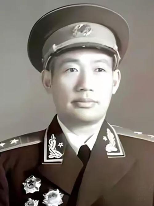 1963年，南京军区来了一个新政委，许世友看到他却面露难色，他自己爱喝酒，但新政