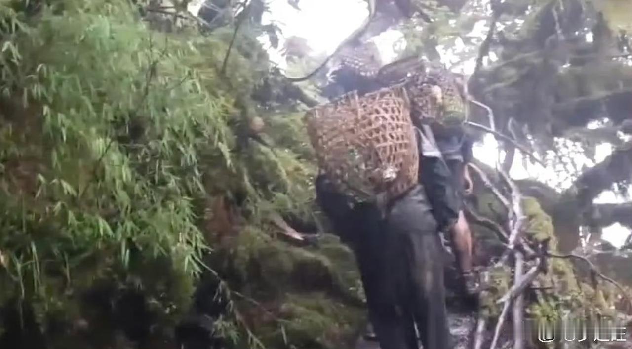 【藏南军情】印度占领军强迫当地群众为其在塔克新“驻守”的士兵运送