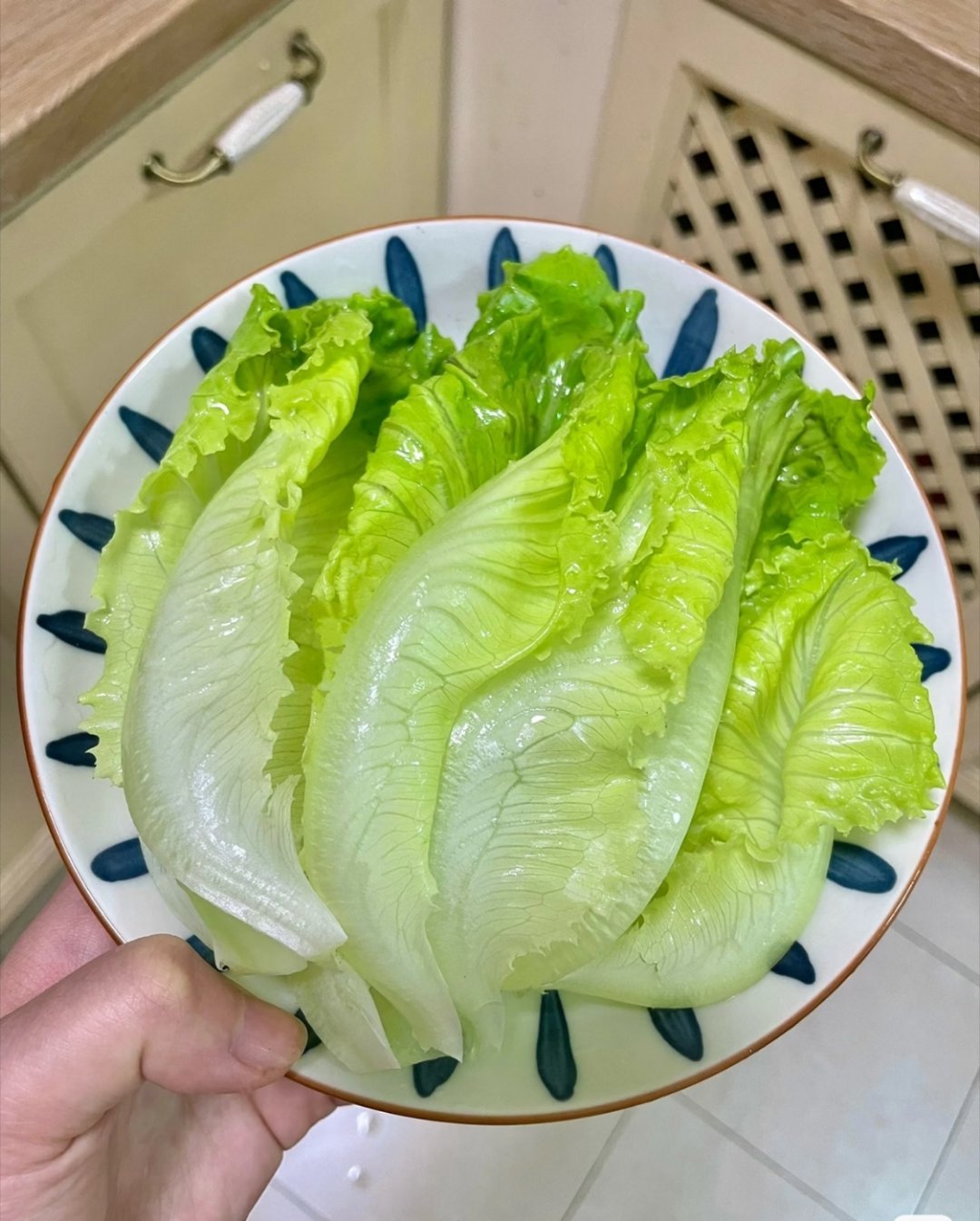 生菜是最伟大的蔬菜谁跟我一样，吃啥都想配生菜？烤肉、炸鸡、拌饭，没有生菜总感觉缺