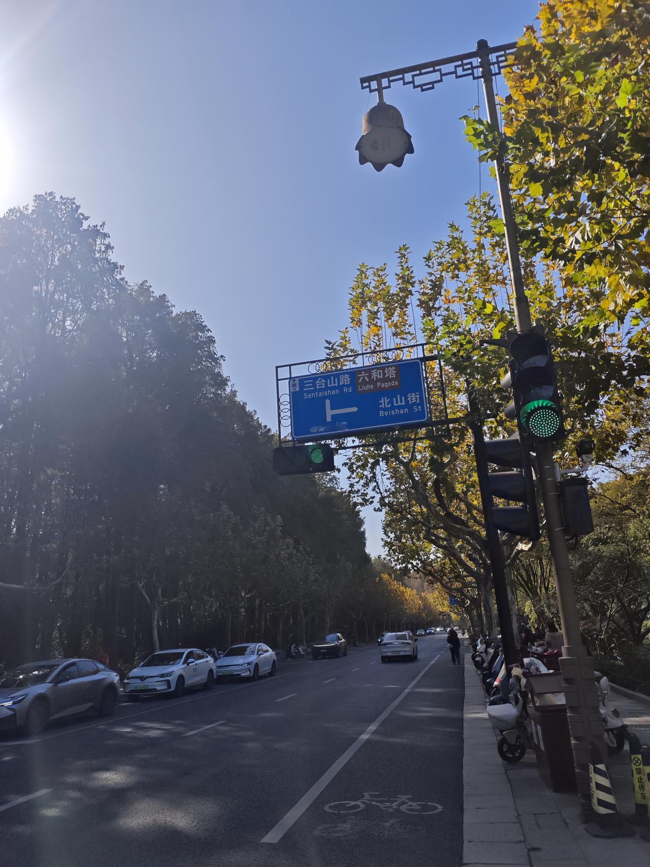 在冬日的西湖花港观鱼这里，鱼池的水显得格外清冷、澄澈，如一面平整的镜子，倒映着周