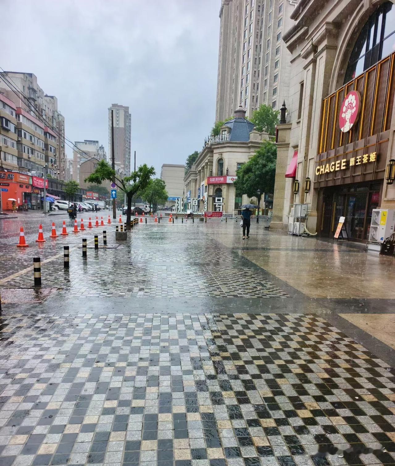 大连今早又下雨了！今天凌晨3点半，被一阵雷声惊醒，雨点打在玻璃上，噼里啪