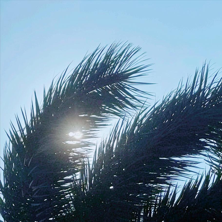 今年1月-11月我国外贸数据显示  美方在贸易战、关税战中没占上便宜  反而