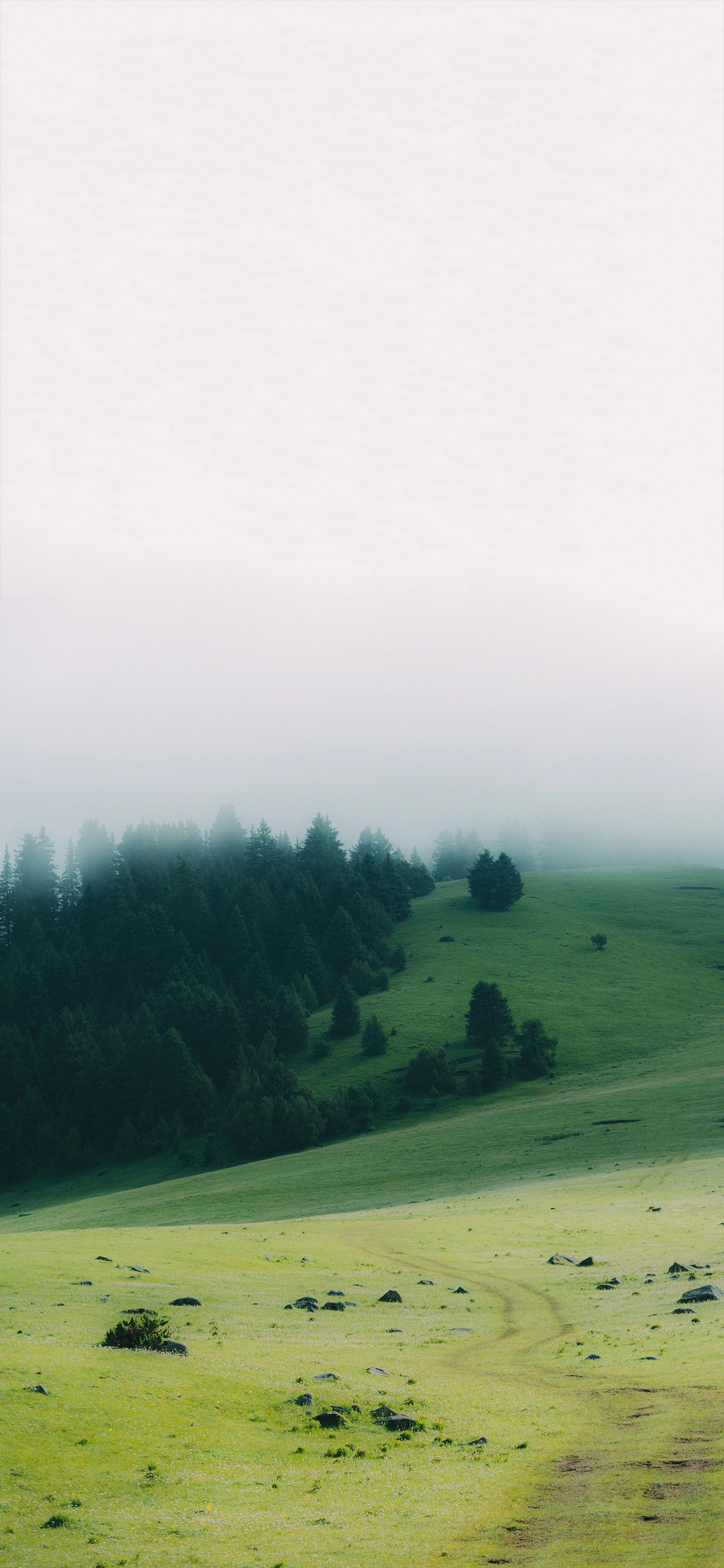 小伙伴们早～刚刚醒，舒坦风景壁纸
