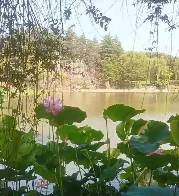 太好了，三拒绝马上要开了！这件事情，千真万确！柴桑大姐今天亲自说，经过李老师