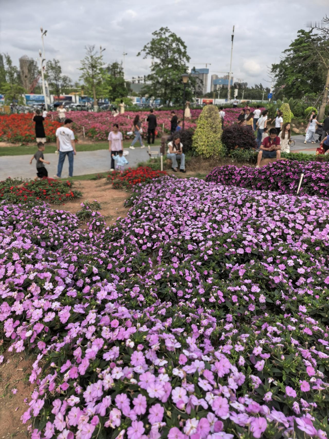 看哭了！浙江嘉兴，一只小猫每天去包子店蹭包子馅吃，可没想到，老板因为生意不好，搬