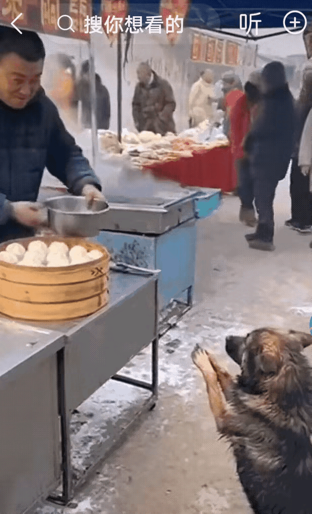 狗妈妈为了养活窝里的小狗来到包子铺讨要食物，摊主不愿施舍反用热水驱赶。可怜的狗妈