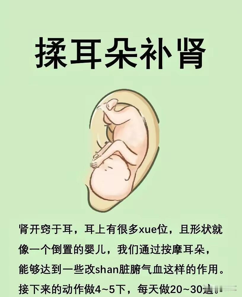 揉耳朵=养肾！4步耳朵按摩法，每天5分钟，把肾气“揉”回来中医说“肾开窍于