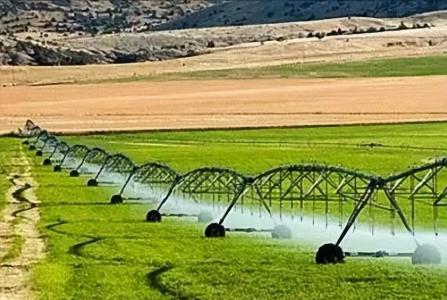 为什么中国粮食价格这么低?说白了这就是国家在给老百姓“保命”,如果粮食价像国际市