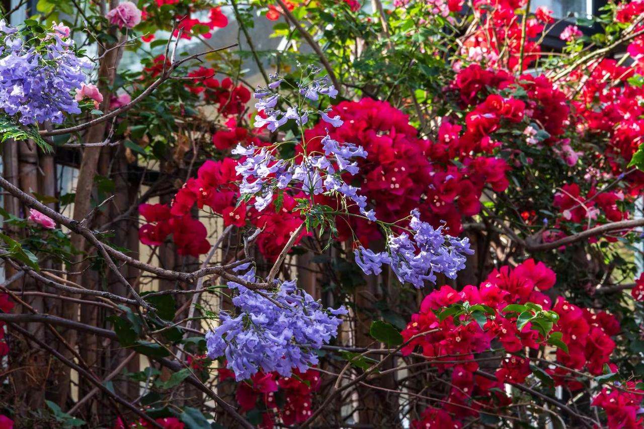西昌大石板古村。西昌大石板古村风光摄影我的摄影日记风景摄影原创摄影
