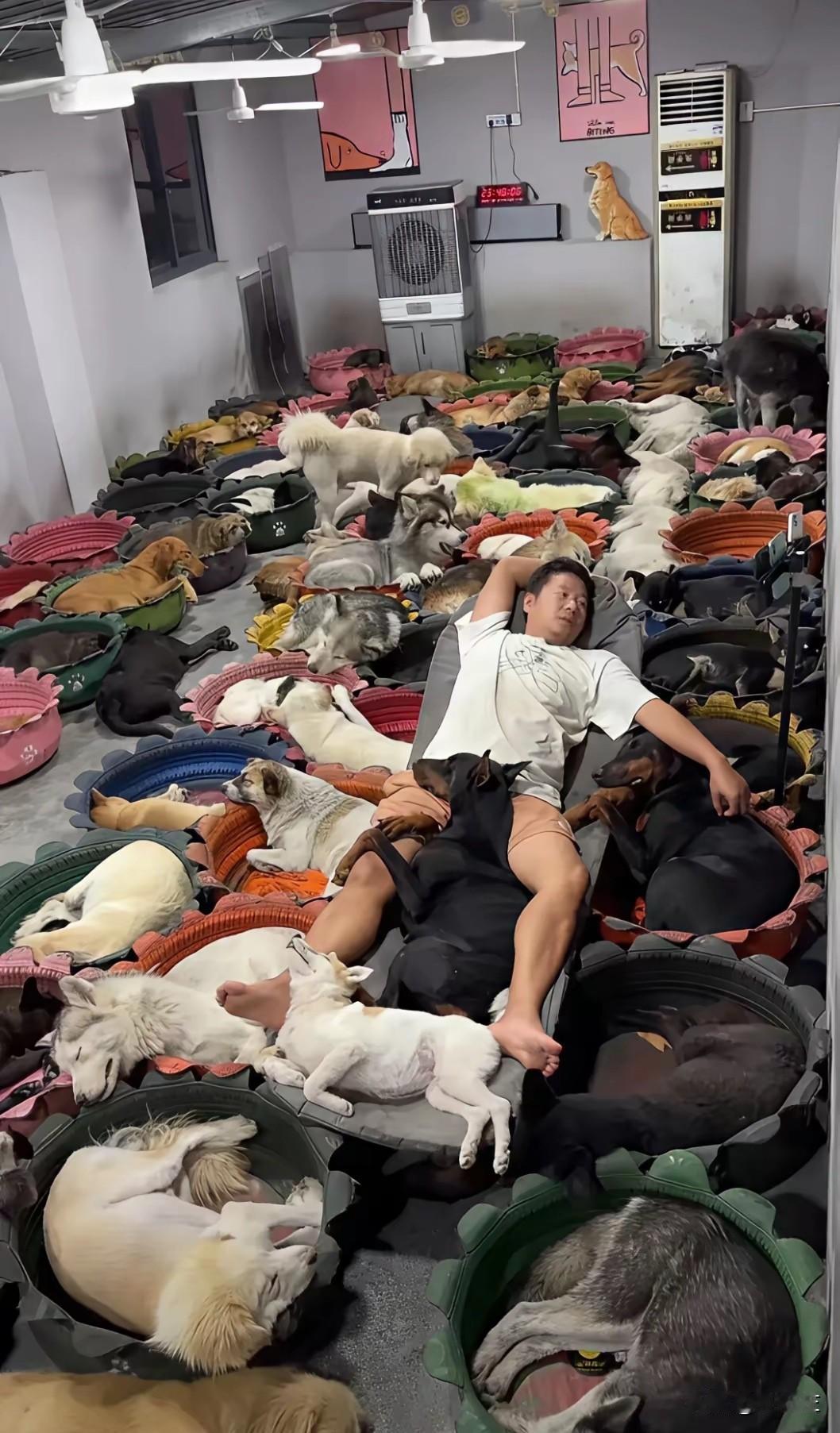 闯进狗窝的孤独人类。