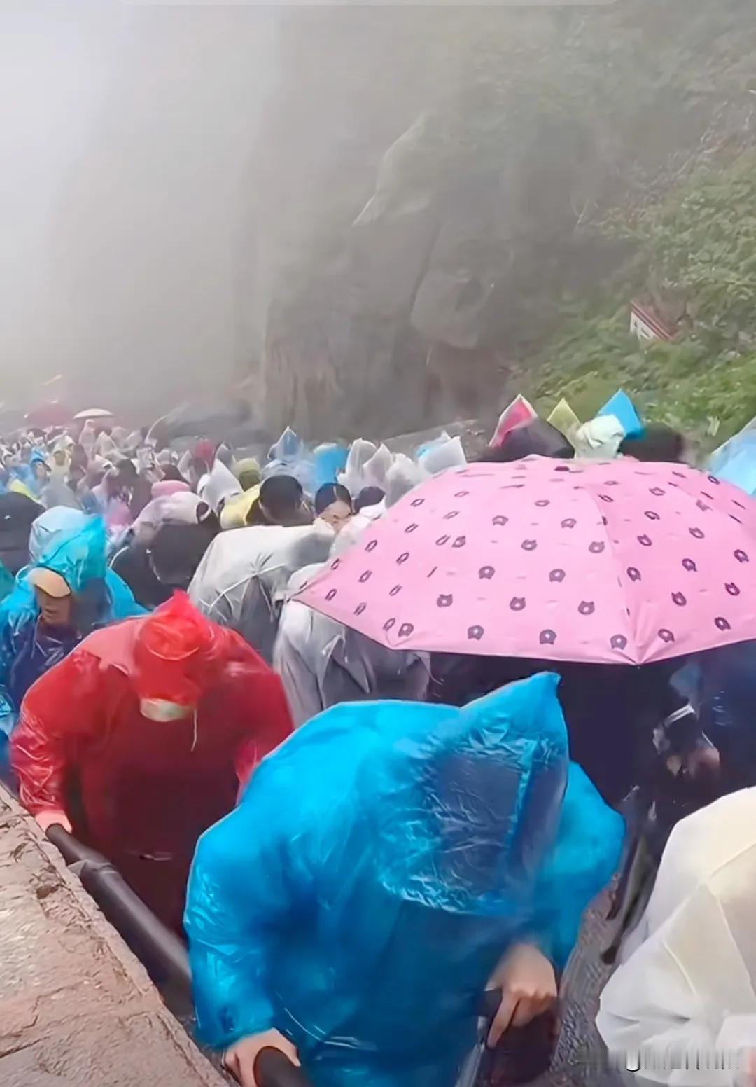 靠山吃山这句话一点不假今年5.1节下午，泰山景区来了暴风骤雨哗啦啦，冷得游人打