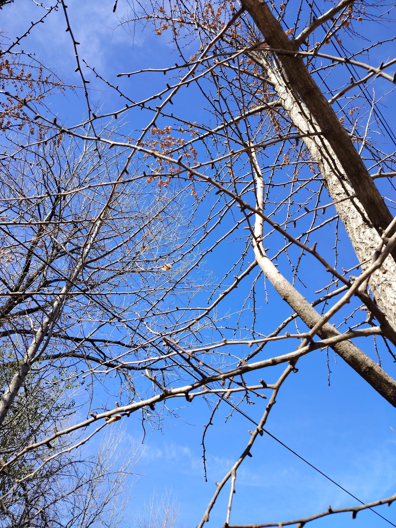 可怜天下父母心！大家发现没有，大多数父母都是这样的。只要儿女们回了家，不管在