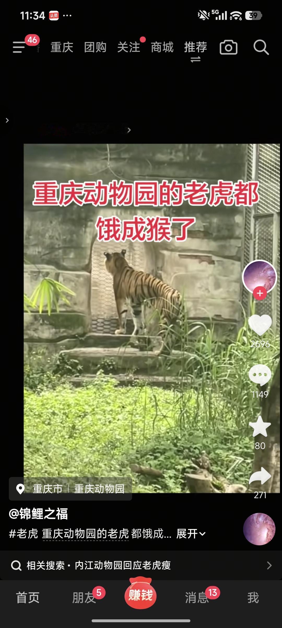 重庆动物园里的华南虎为什么那么瘦？经常在网上看见一些人为了赚取流量，亳无底线，