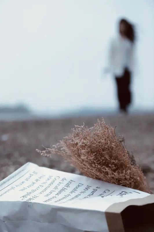 今天读到好多超赞的金句！“岁月知味，释怀即安。山海自有归期，风雨自有相逢”，这简