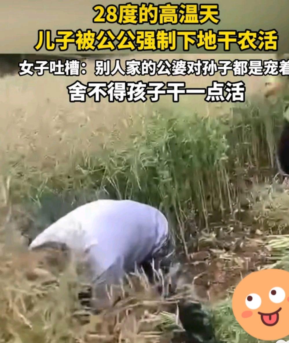 5月10日，湖北。一个儿媳抱怨公公，28度的高温天气，公公强制她的儿子下地干农活