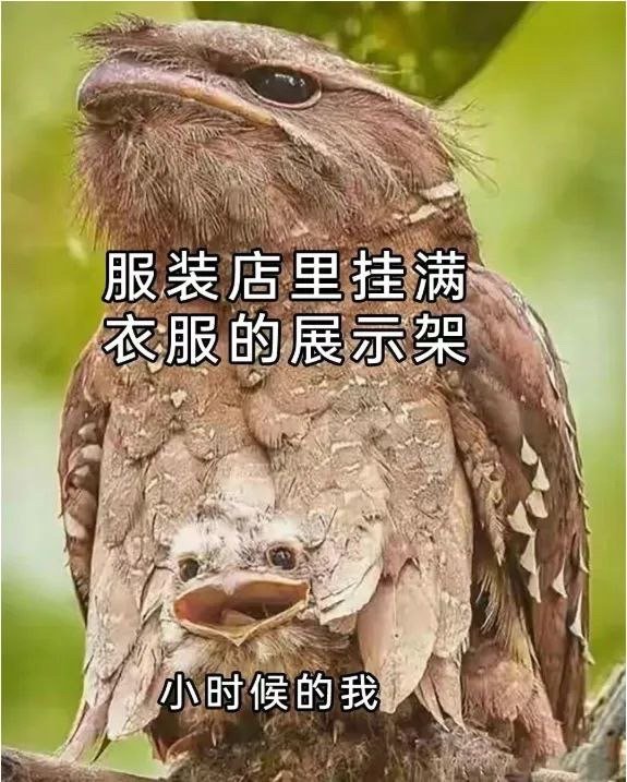 我也玩过