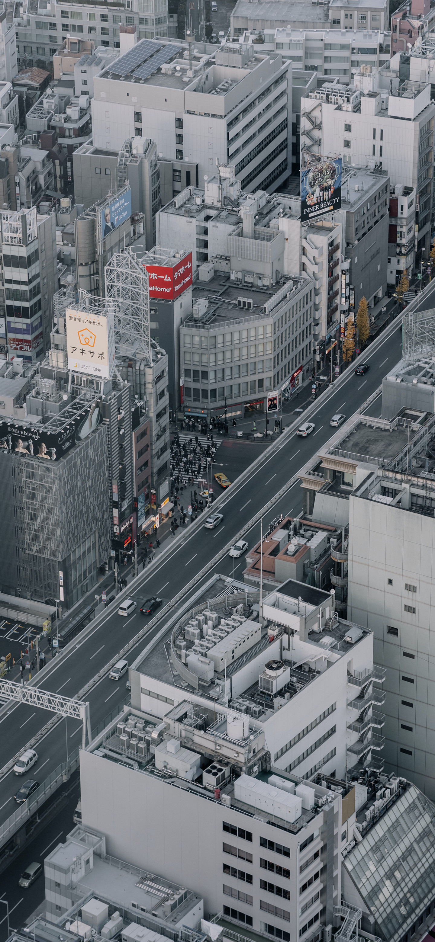 兄弟们早啊～今天你们也得开心风景壁纸