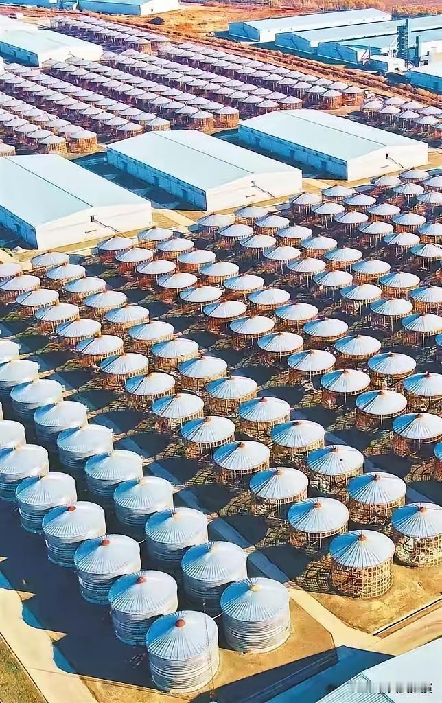 明牌了，感觉要做好打仗准备了！中国2025年囤积了充足的物资，即便这样，我们还顺