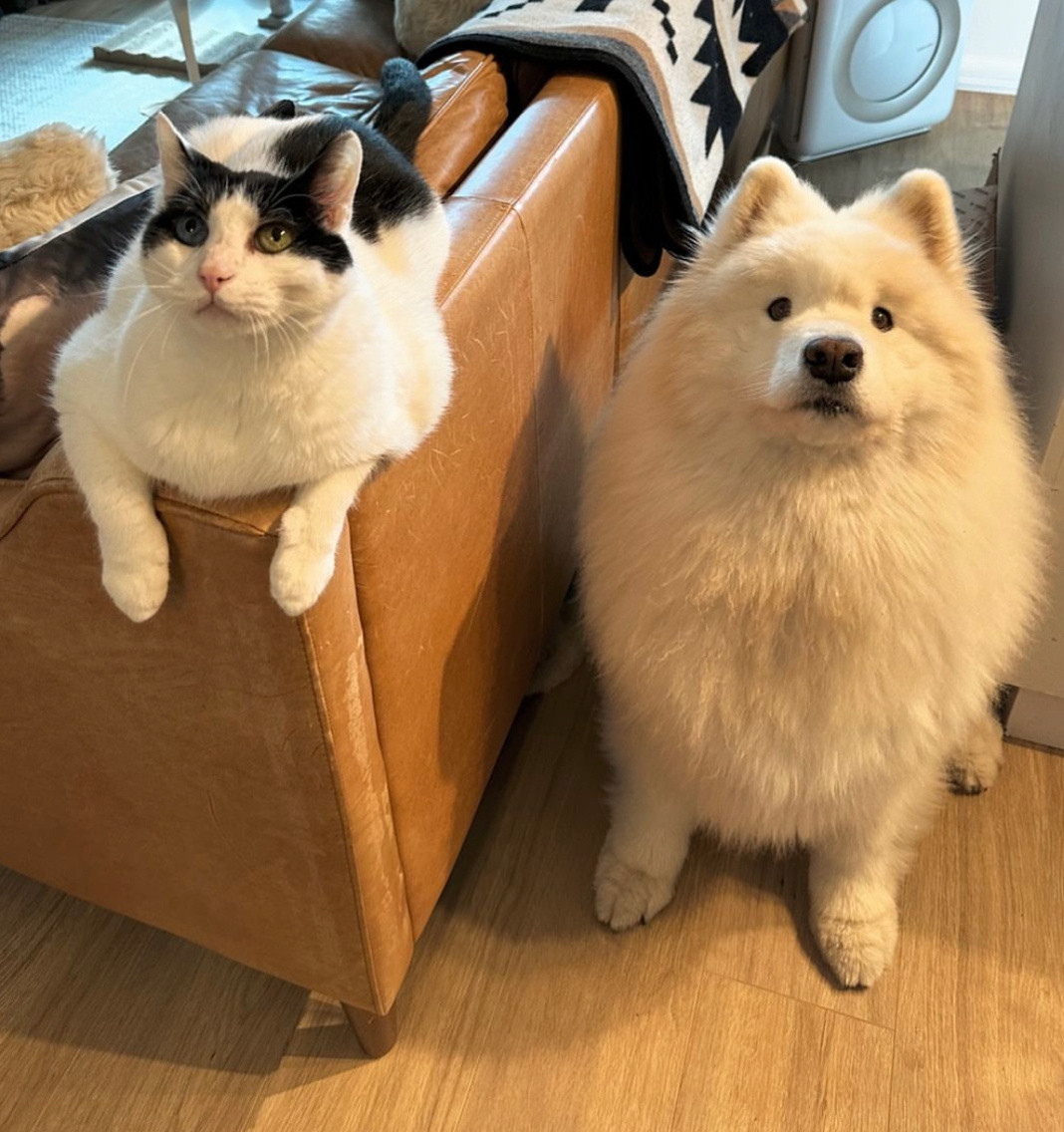 我们今天什么也没咬坏哦！