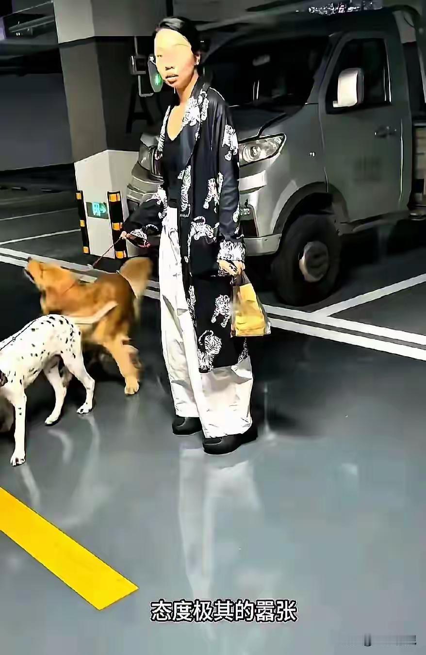 遛狗不牵绳，大狗扑向婴儿，狗主人还叫来多条大狗围堵一家人，到底是谁给的底气？