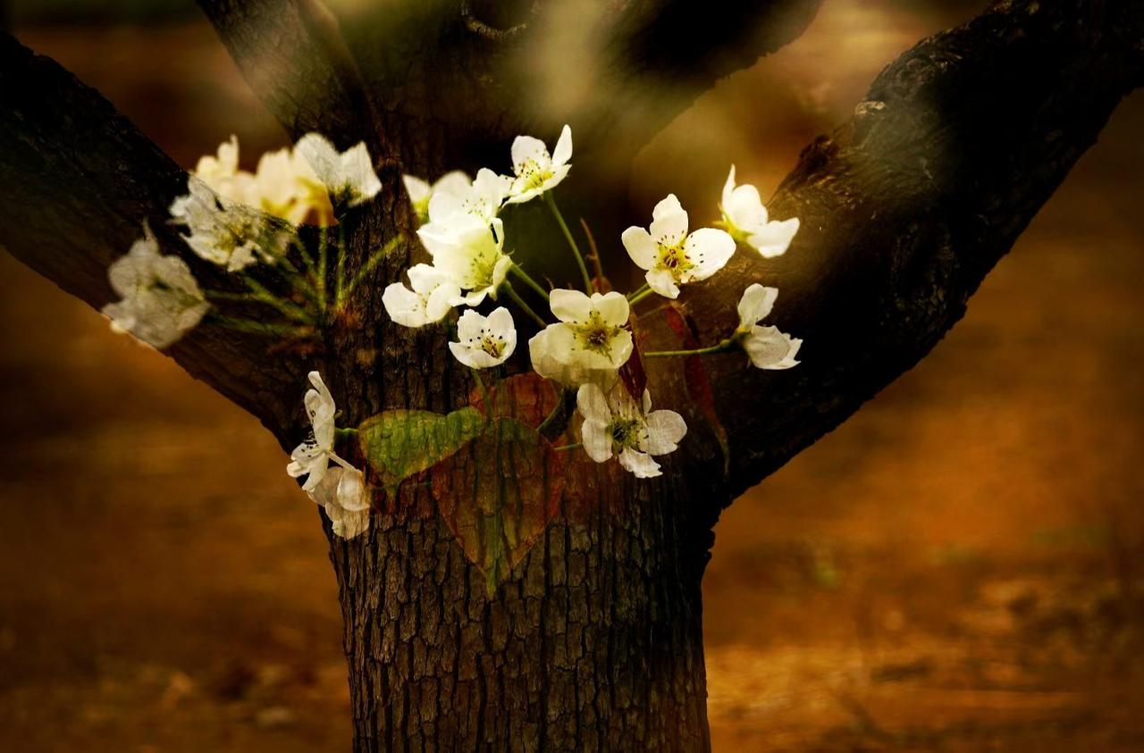 不扎堆不社交！退休女人的好日子，都是关上门过出来的人一退休，就彻底卸下了工