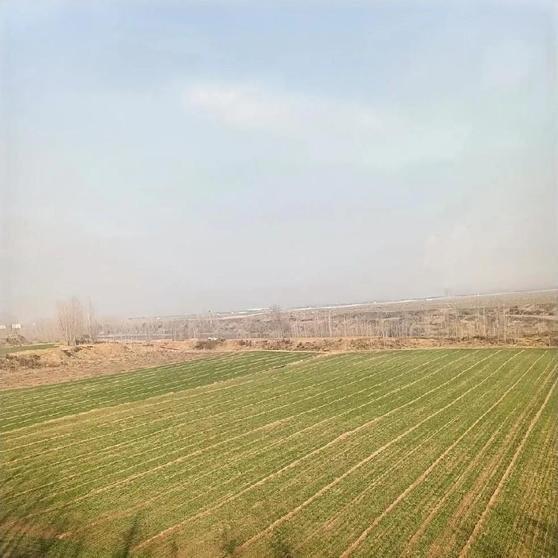 新殡葬制度3月底要落地，网上已经吵成一锅粥。有人说“死不起”，有人喊“终于能躺平