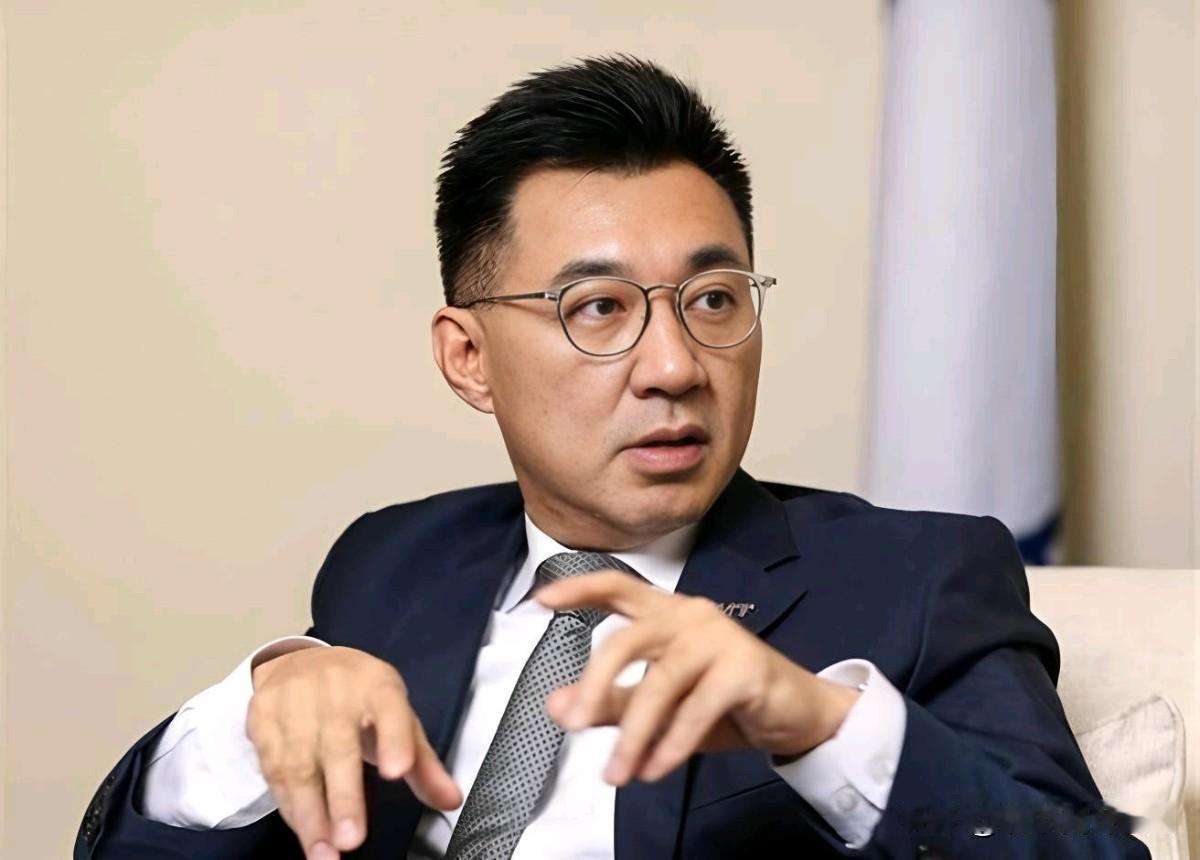 江启臣竟然跳出来对我们进行谴责！12月29日，岛内“立法院”副院长江启臣表示，不