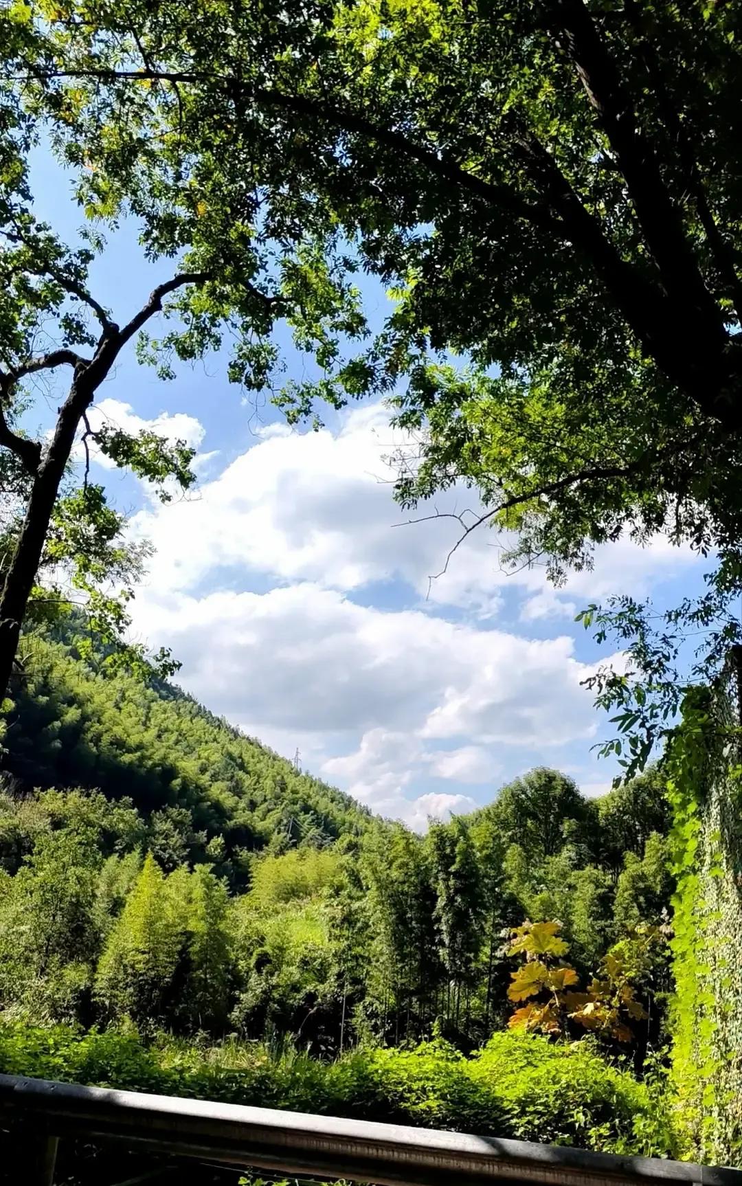男同事去相亲，女生全程冷脸刷手机，他一句没多聊，埋头把酸菜鱼吃得干干净净。女生