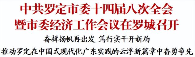 中共罗定市委十四届八次全会暨市委经济工作会议在罗城召开