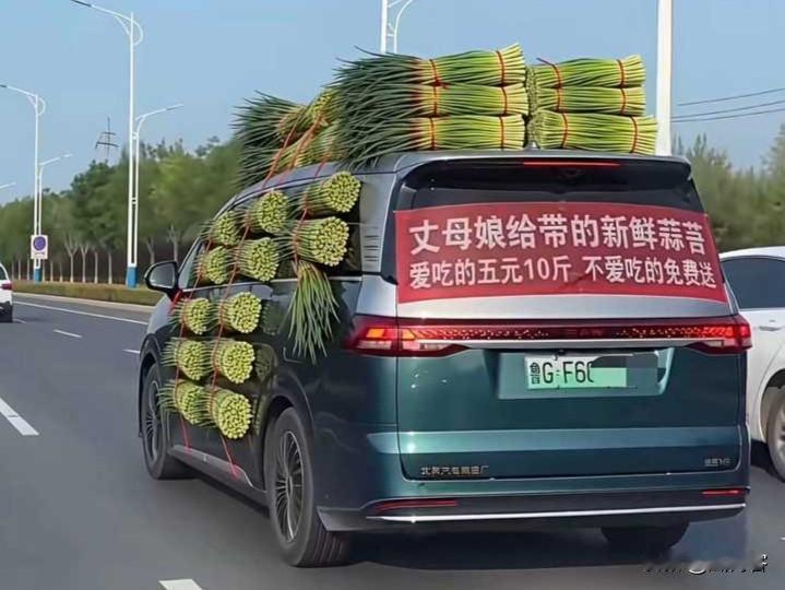 最近，蒜薹的梗真是越来越搞笑了！