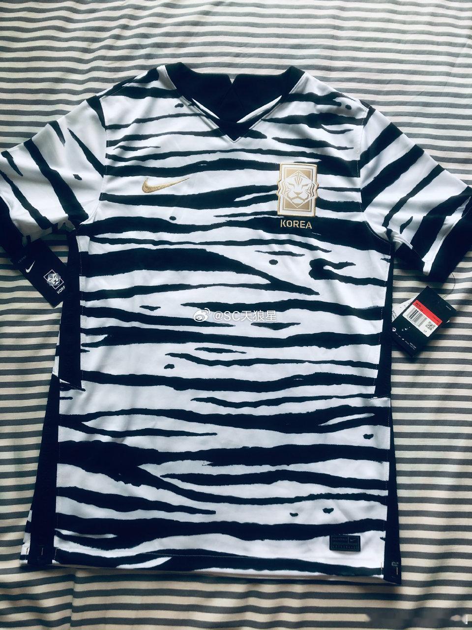 津门虎的新球衣，跟韩国队的那件，是有点像Ps.在视频里面看到好几位熟人。天津
