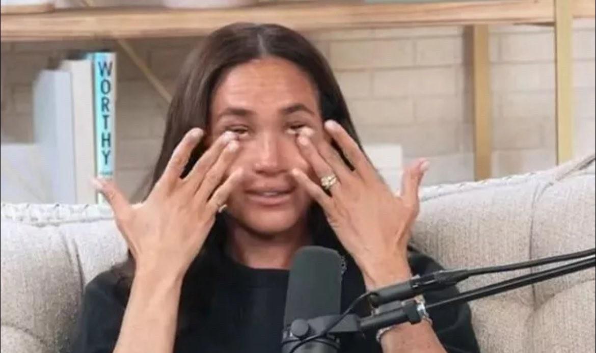 梅根在好友杰米的访谈节目上，基本上公开承认自己在写回忆录，这感觉更像是推销。她好