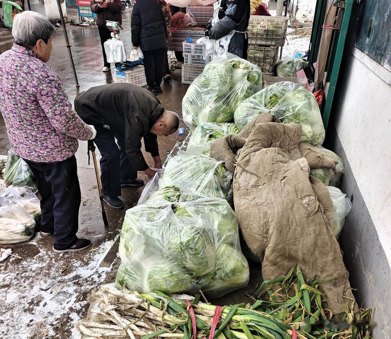 我预测，过不了多久，这白菜价格就会降下来！刚才去赶集买菜，发现集上卖白菜的生意