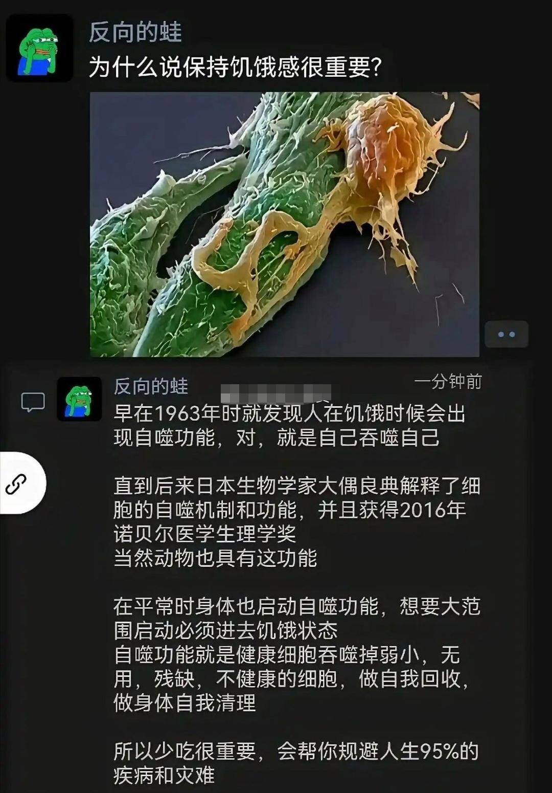 保持适度饥饿很重要。