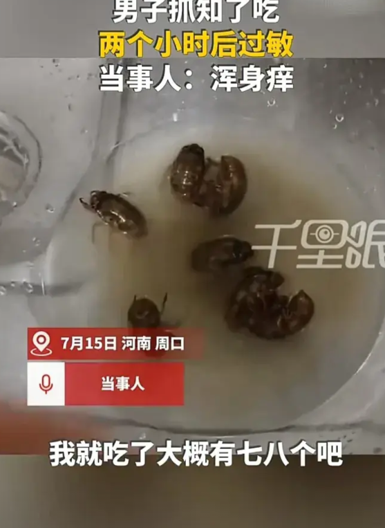 千万别乱吃东西！7月15日，河南周口一名男子抓了一些知了猴来做菜，没想到吃了七八