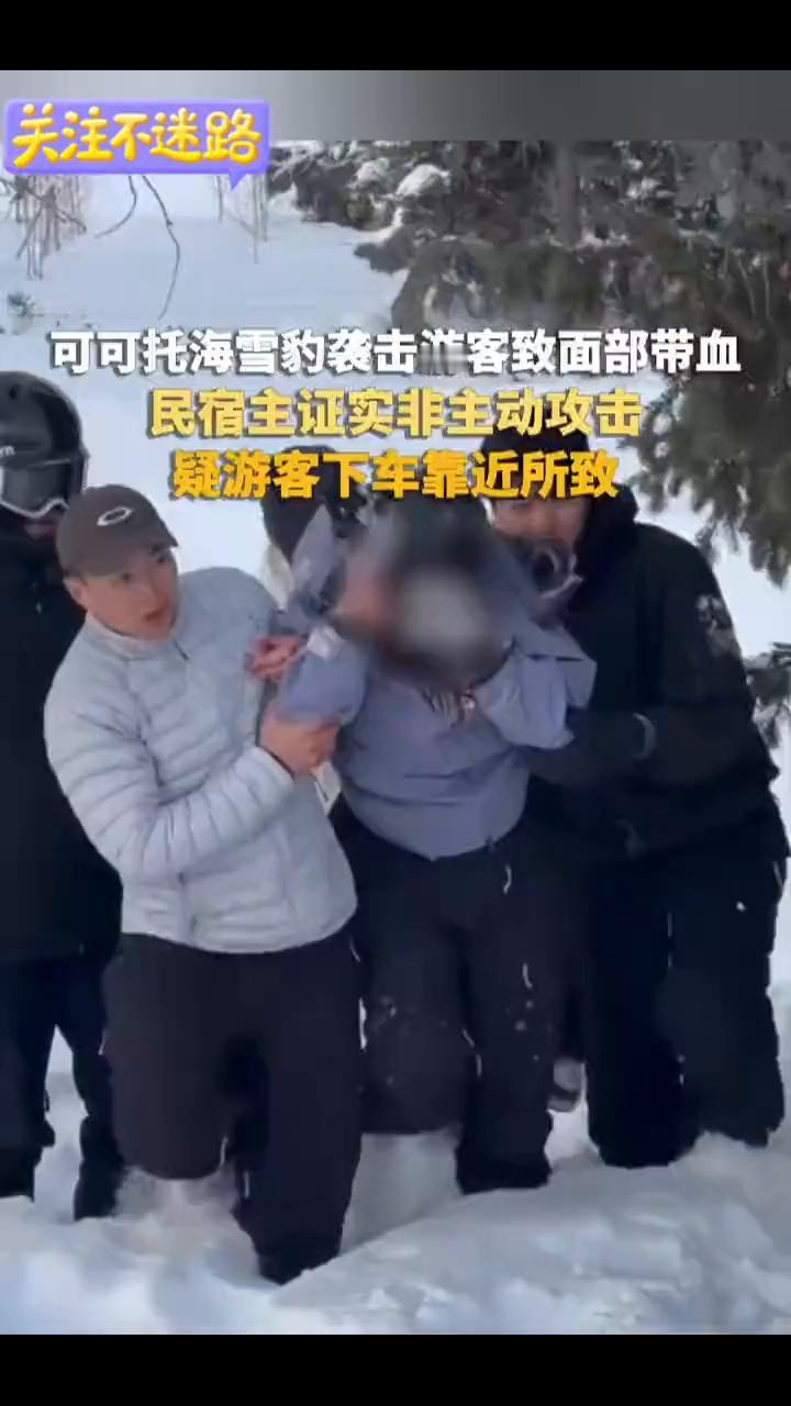 可可托海雪豹袭击游客致面部带血，民宿主证实非主动攻击，疑游客下车靠近所致。白鹿